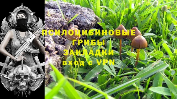 мяу мяу кристалл Коряжма