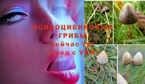 амфетамин Костерёво