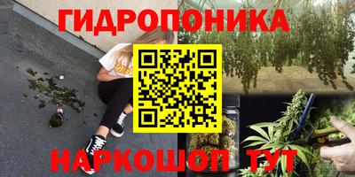 спайс Славгород